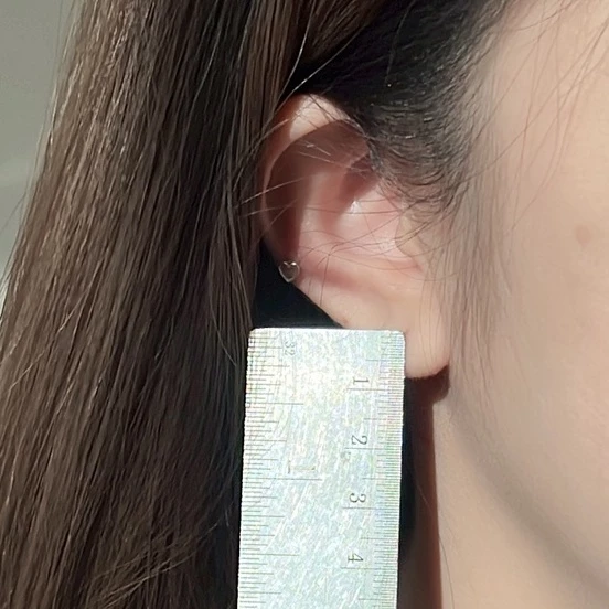 6c88fec34171e5d793743039ffeb4516 ต่างหูห่วง ต่างหูเงินแท้ ห่วงผีเสื้อเพชร